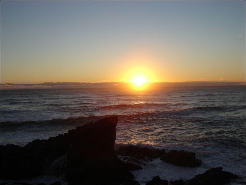 DSC01367_seal colony cape foulwind westport